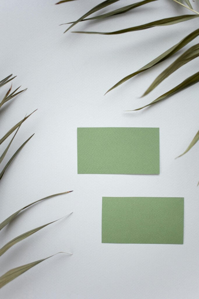 Sage color palette paint samples