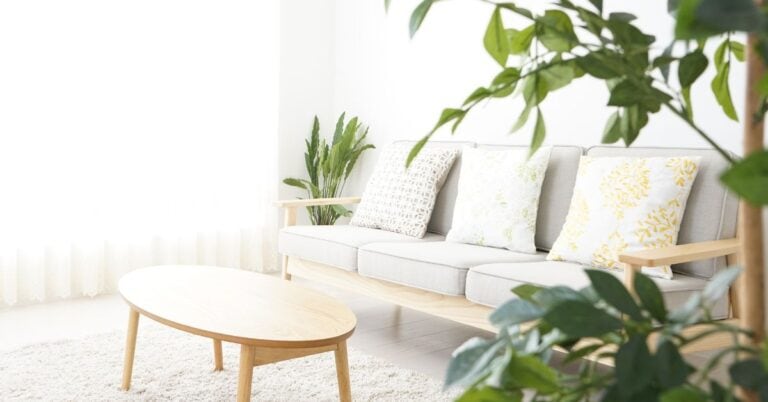 Minimalist coastal-style living room with soft neutral tones, light wood furniture, and leafy plants—showing how thoughtful styling reduces visual clutter in the home.