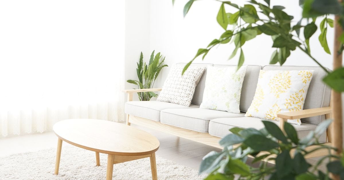 Minimalist coastal-style living room with soft neutral tones, light wood furniture, and leafy plants—showing how thoughtful styling reduces visual clutter in the home.