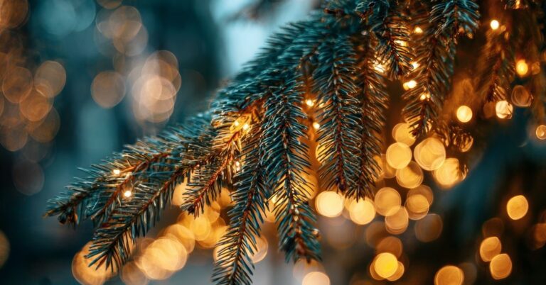 Cozy close-up of Christmas tree needles glowing with warm lights, showing the best Christmas tree lights effect for a magical holiday look.