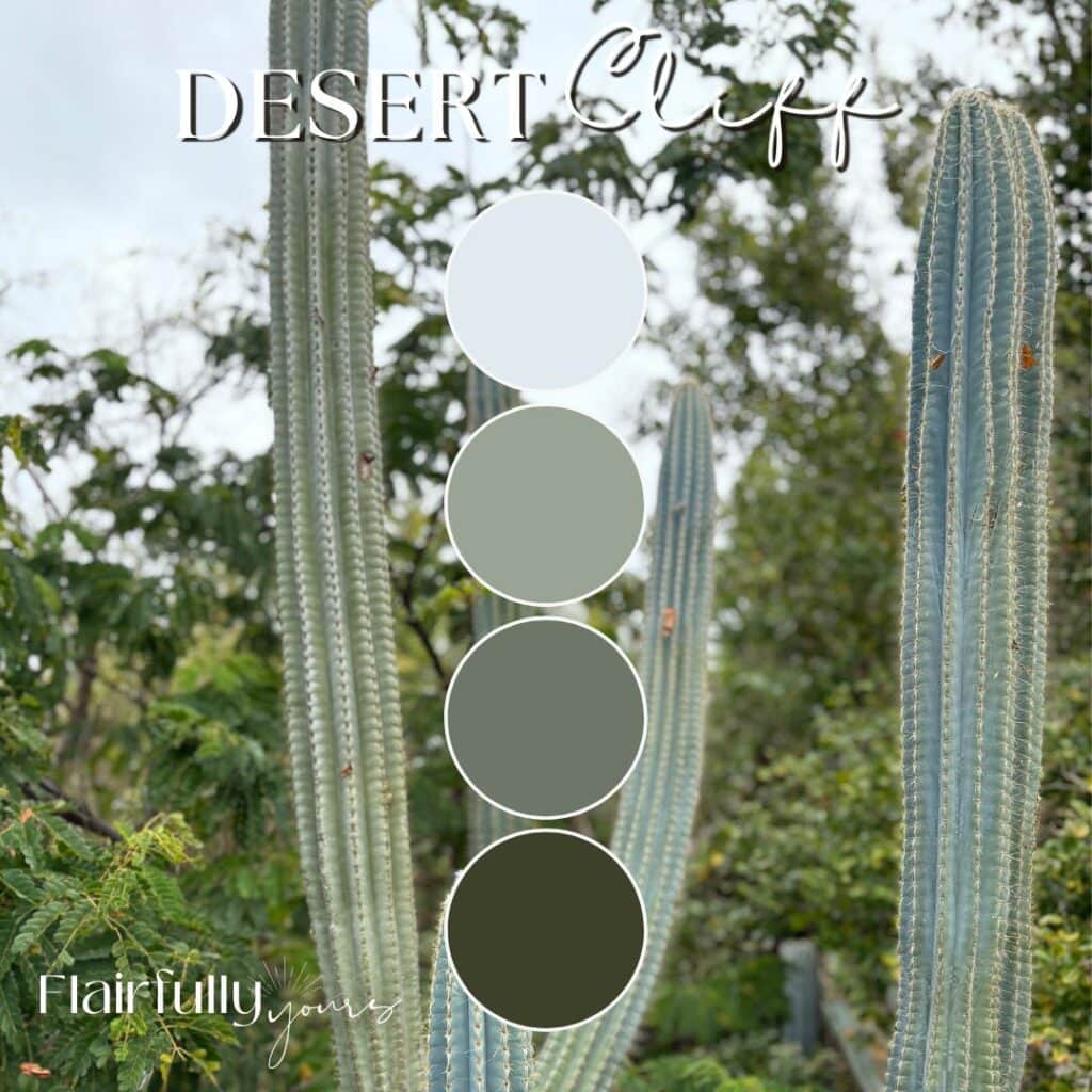 Cactus-lined landscape on the Ram Head Trail in St. John, with rocky cliffs and the soft sky in the background.