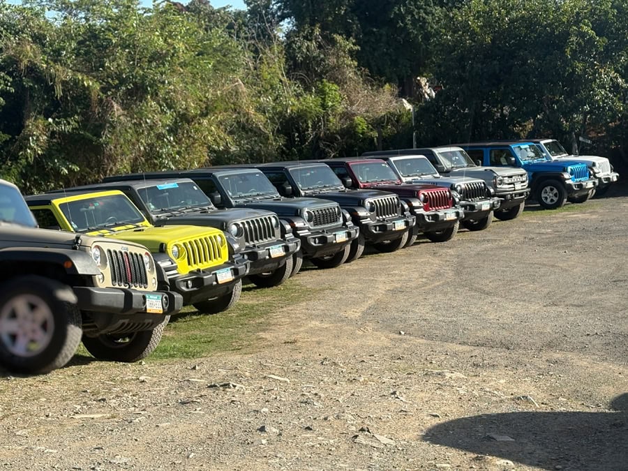 Row of colorful Jeeps lined up in St. John, USVI, showcasing the island's signature vehicle for navigating steep, winding roads.