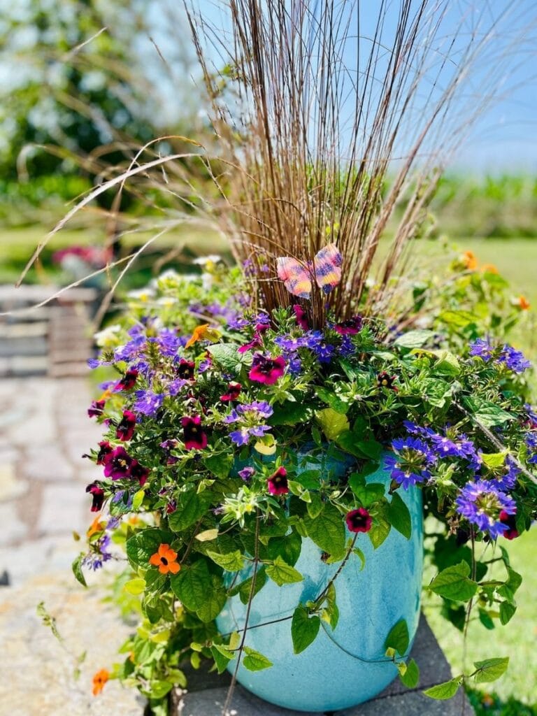Mixed pink, purple, and white flowers with butterfly stake