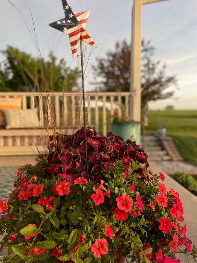 Red, orange, and purple flowers in planter with railing background