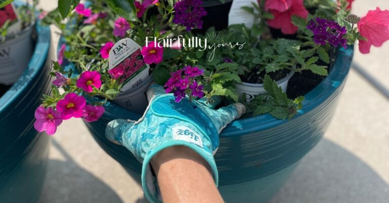 Colorful outdoor flower pots with bright pink and purple flowers being arranged, showing hands prepping the planter.