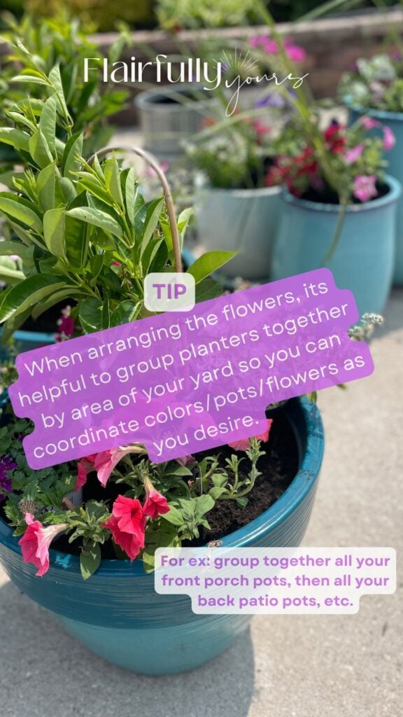 Group of outdoor planters arranged and filled with flowers, ready to place in the yard