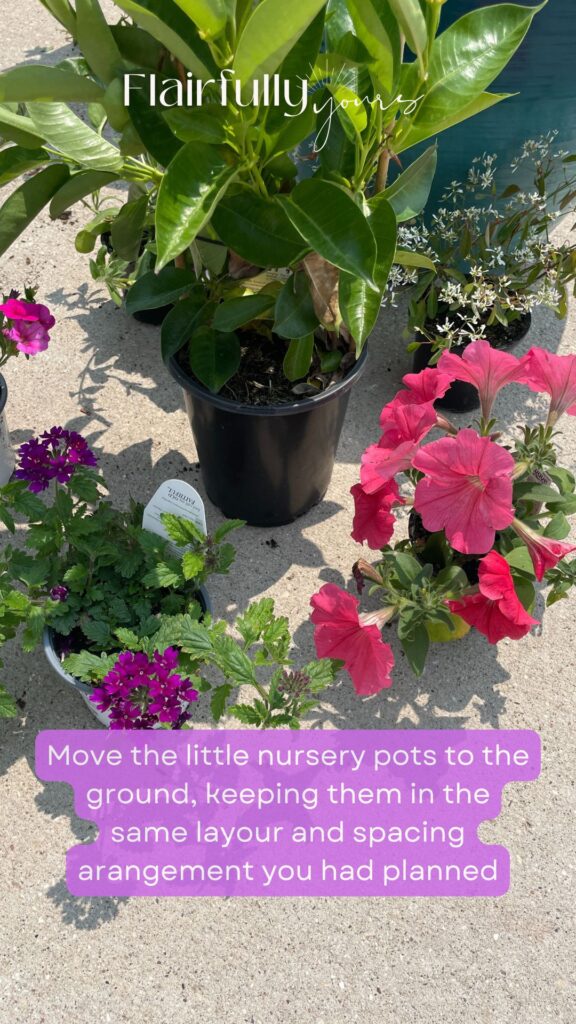 Outdoor flower pots with nursery plants arranged on the ground for spacing and layout planning