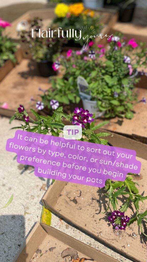 Outdoor planter flowers sorted by type and color ready for potting