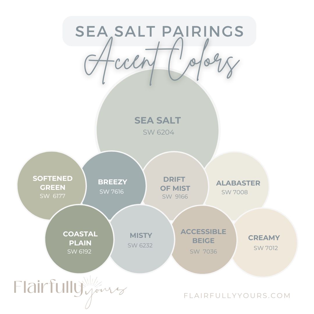 Sea Salt wall with accent color pairings including Softened Green, Breezy, Drift of Mist, Alabaster, Coastal Plain, Misty, Accessible Beige, and Creamy