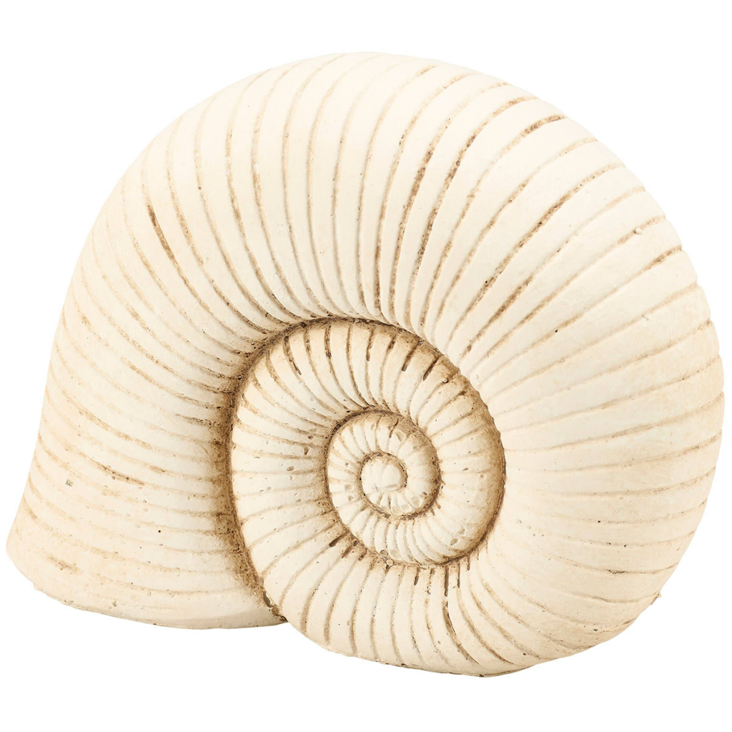 White nautilus shell accent styled on a coastal console table